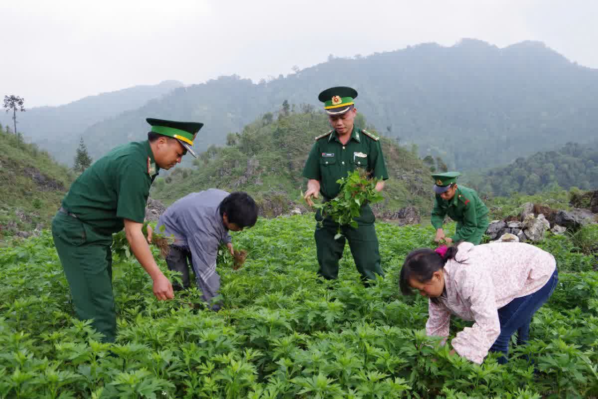 Tình Quân dân nơi biên ải Tùng Vài