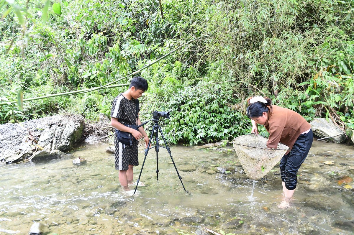 Một cảnh quay bắt cá trên suối của youtuber
