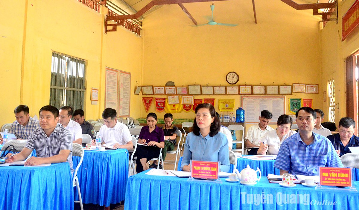 Đồng chí Phó Chủ tịch HĐND tỉnh Phạm Thị Minh Xuân dự sinh hoạt chi bộ thôn Đồng Quang